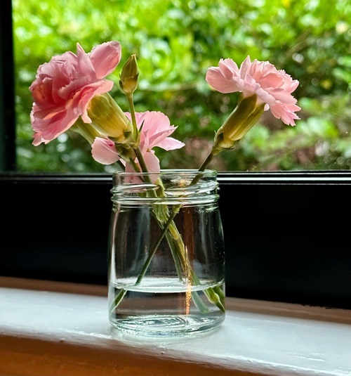 amazing Best Hydroponic Flowers