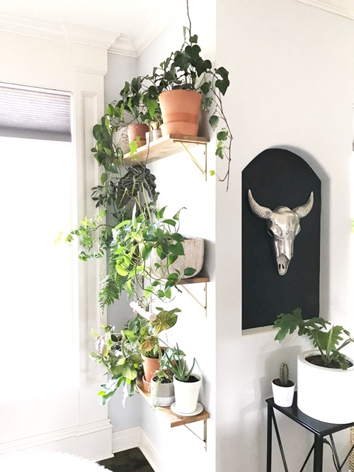 best Diy Indoor Plant Walls