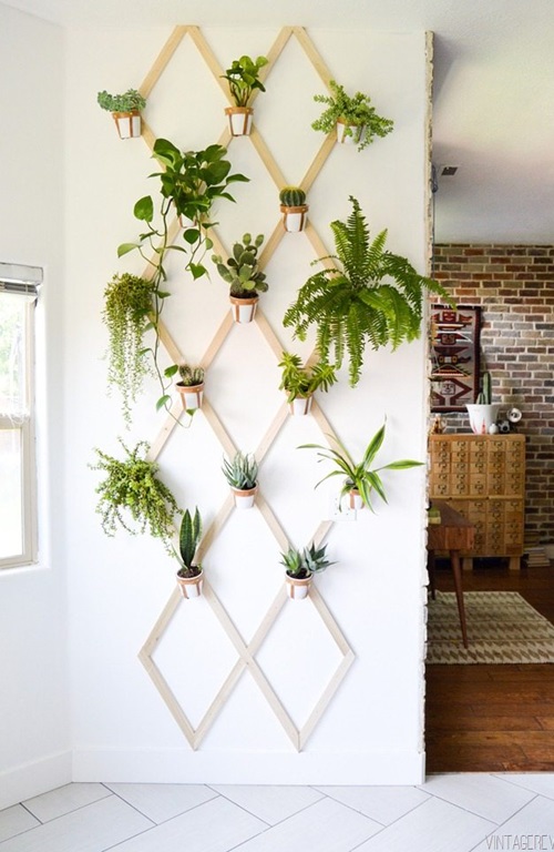DIY Indoor Plant Walls Anyone Can Make