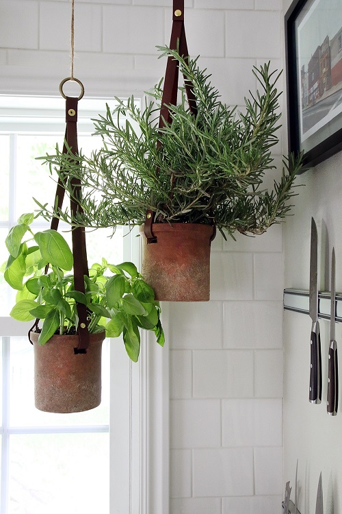 Hanging Herbs in Terracotta