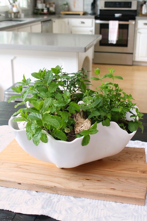 Herbs as Table Centerpieces