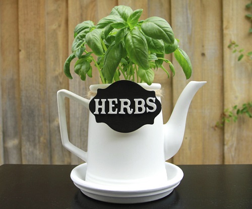 Garden in Old Kettles