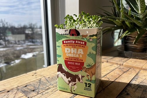 Milk Carton for Your Herbs
