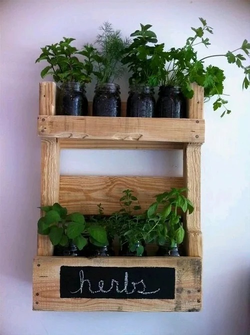 Repurposed spice racks herbs garden