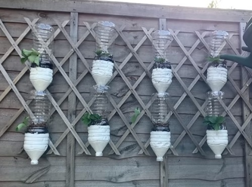 Plastic Bottles do make for amazing planters