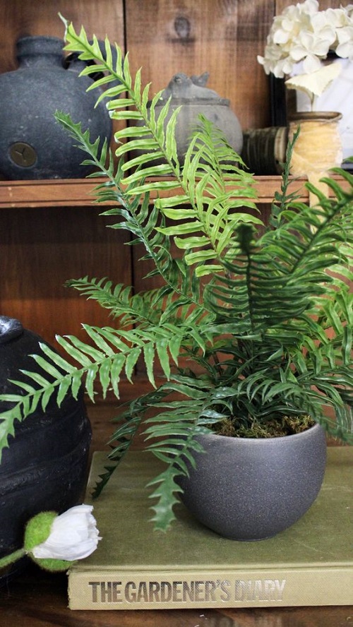Fast-Growing Plants 5