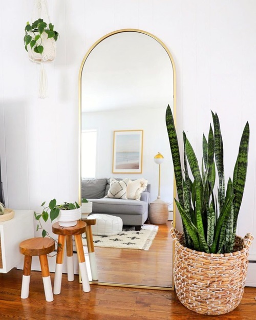 top Indoor Cooling Plants For Summer