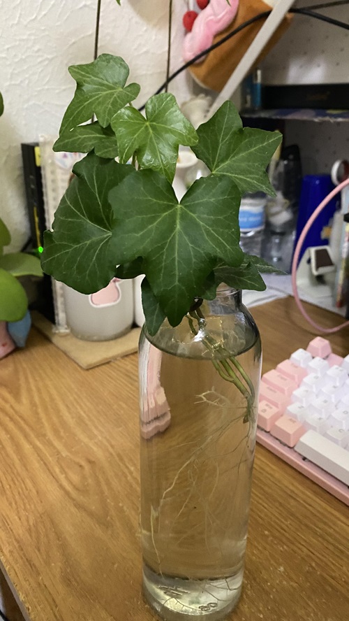 Simple Water Propagation
