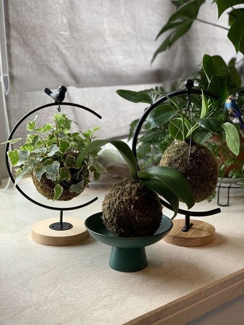 Combine Art With Plant 1