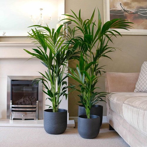 Amp Up Your Hallway 1