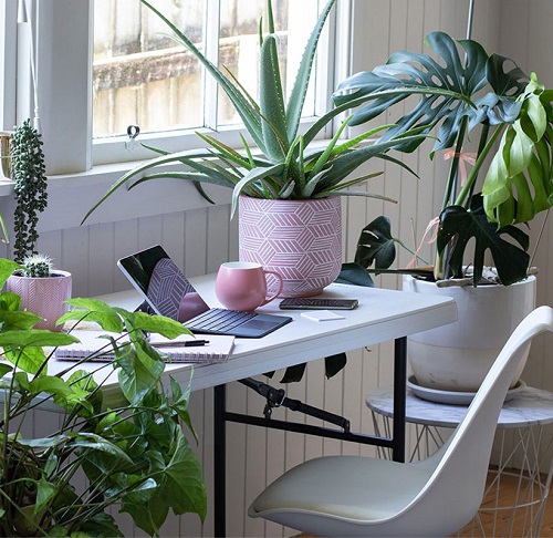 Create a Cool Work Environment 1