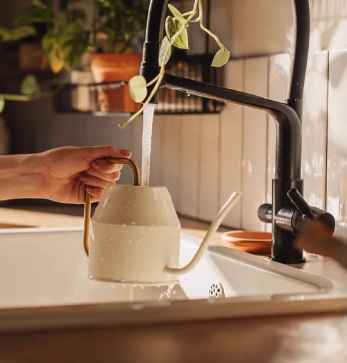 Is Tap Water Bad For Houseplants