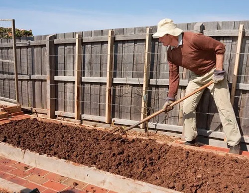 How To Dry Overwatered Soil Quickly