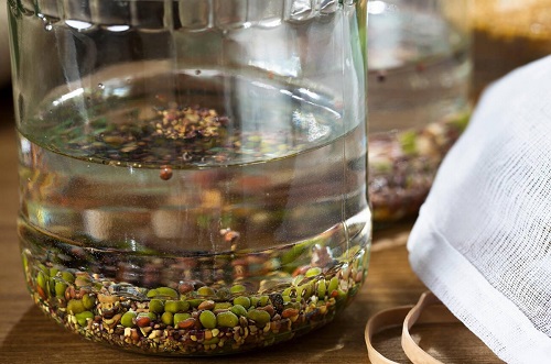 Speed Germination