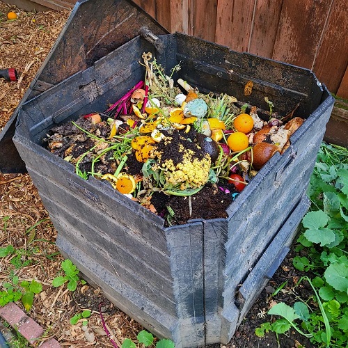 Can you compost hard boiled eggs