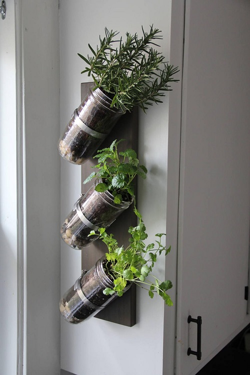 Unique Ways to Grow Herbs Indoors for Fresh Flavor All Year 3