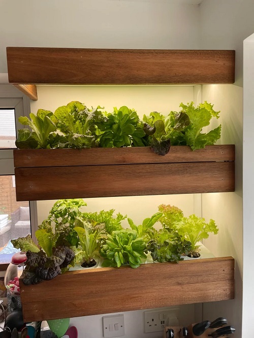 Herb Shelf with Grow Lights