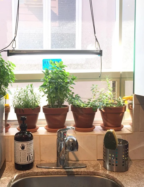 Kitchen Herb Garden