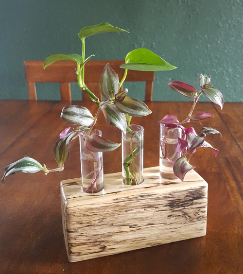 Wandering Jew in Tubes 