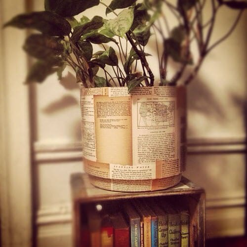 Vintage Style Indoor Plant Decoration Ideas 2