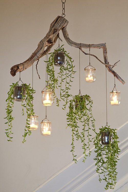 Indoor Plant Chandelier Ideas 2