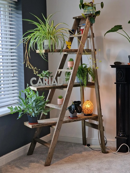 DIY Ladder Shelf