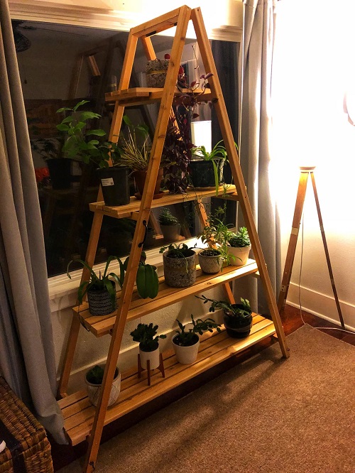 DIY Ladder Shelf Step-by-Step