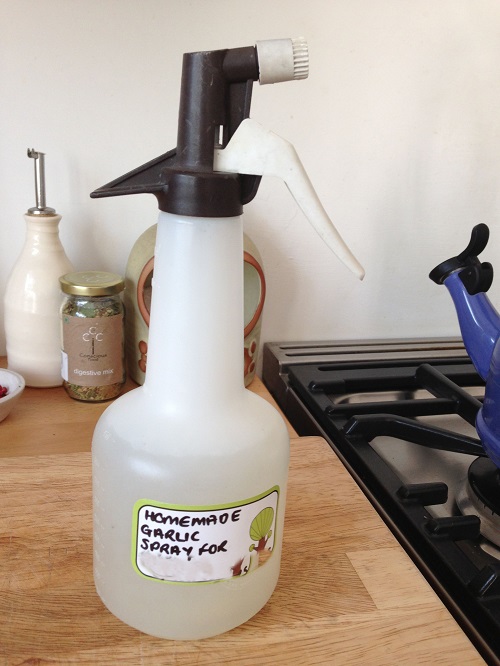 Garlic spray