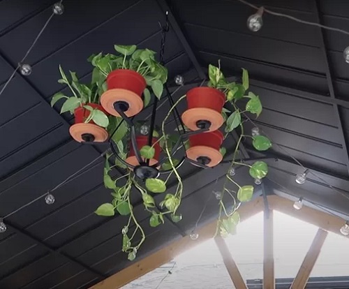 Stunning Ceiling Plant Chandelier 2