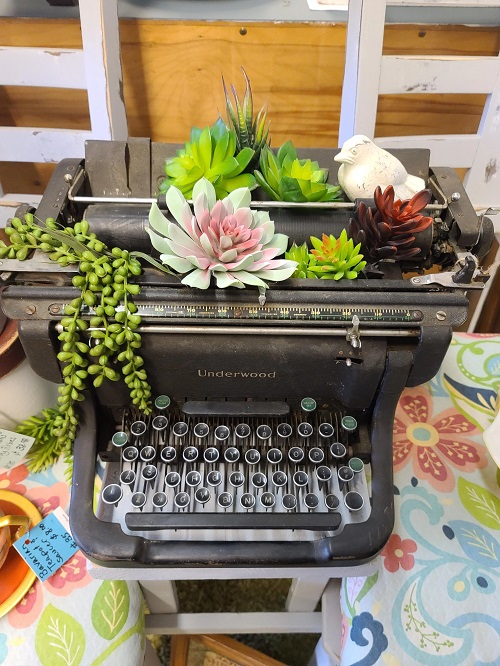 Vintage Style Indoor Plant Decoration Ideas 4
