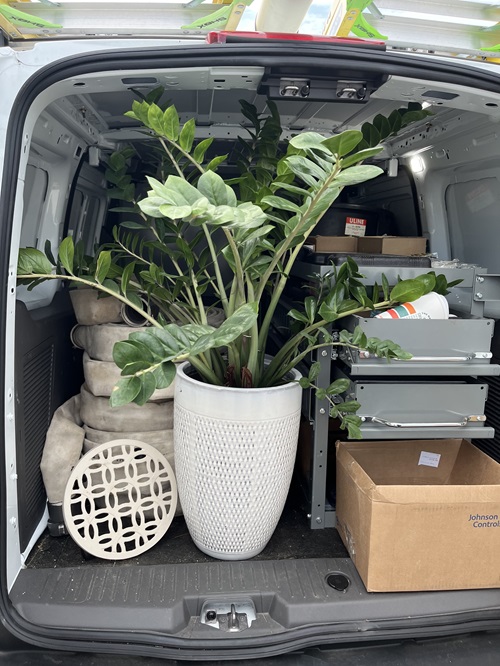 Tips on How to Transport Large Houseplants