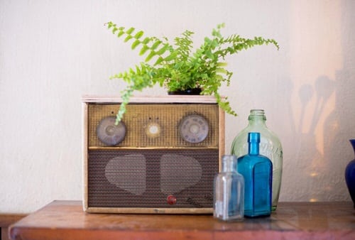 Vintage Style Indoor Plant Decoration Ideas
