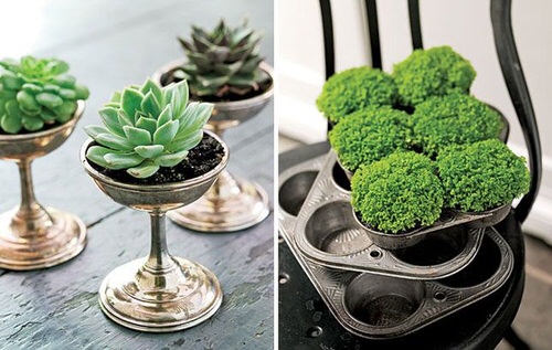 Vintage Style Indoor Plant Decoration Ideas