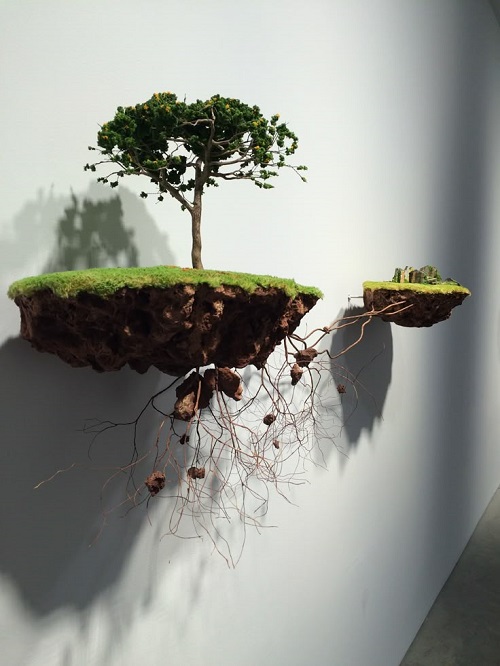 Best Bonsai Arrangement Ideas 3