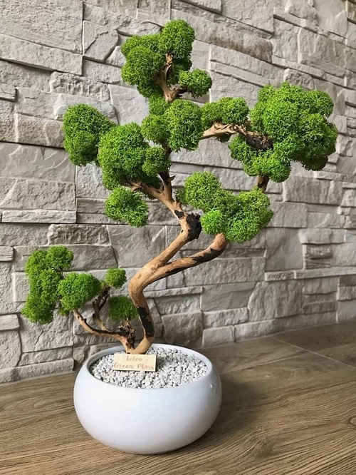Bonsai Arrangement Ideas 1