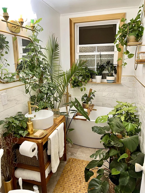 Keep a Plant in Your Bathroom-Do this One Thing for Explosive Growth 2