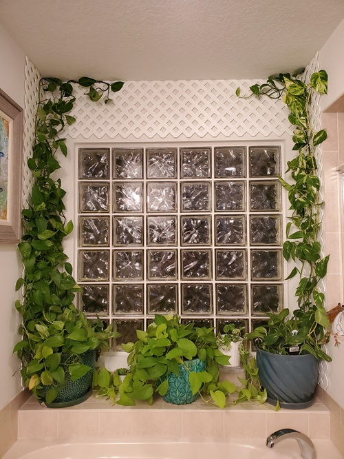 Support for Long Vines