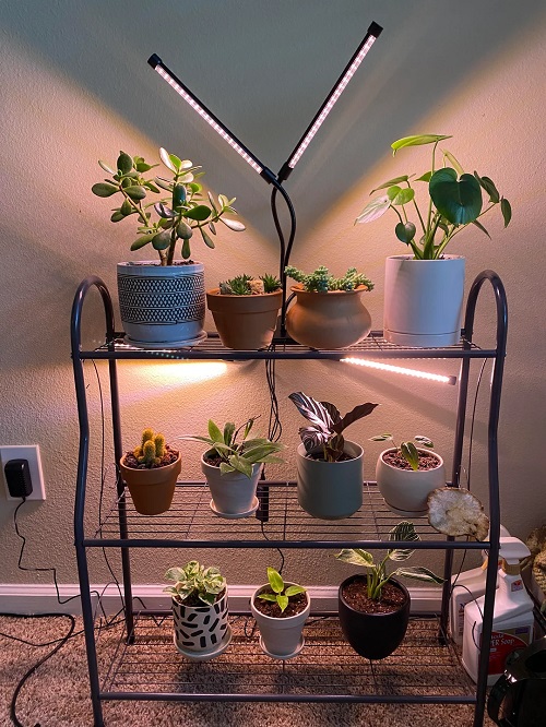 Full-Spectrum Grow Light