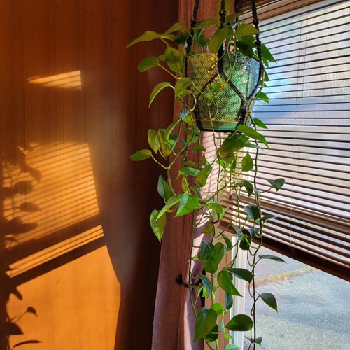 Pick the Right Window