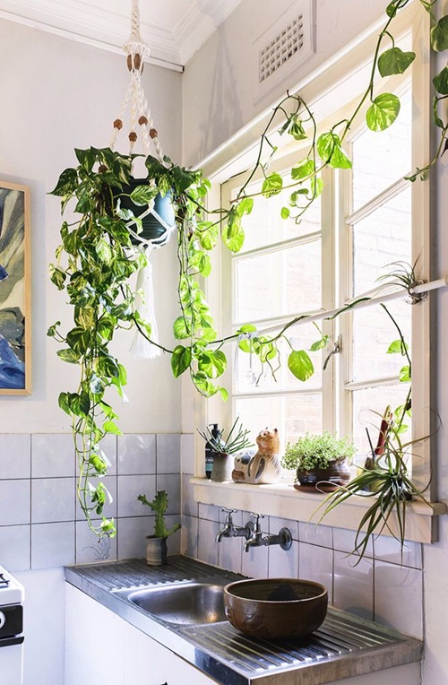 Above the Kitchen Sink