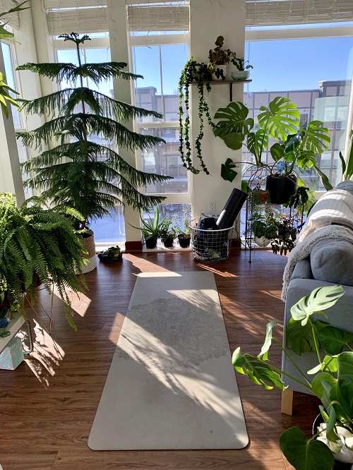 Rotate Your Plants for Even Growth