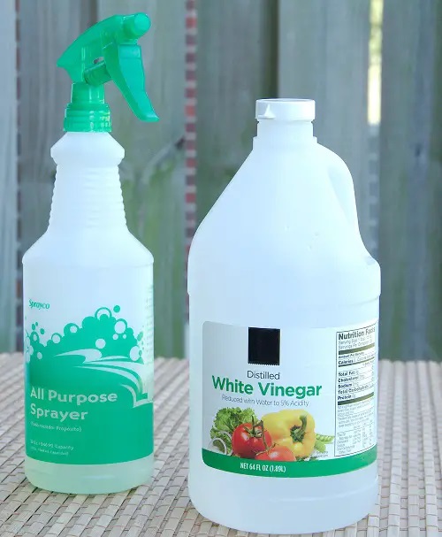 Kitchen Items that Make Houseplants Grow Faster and Thicker 2