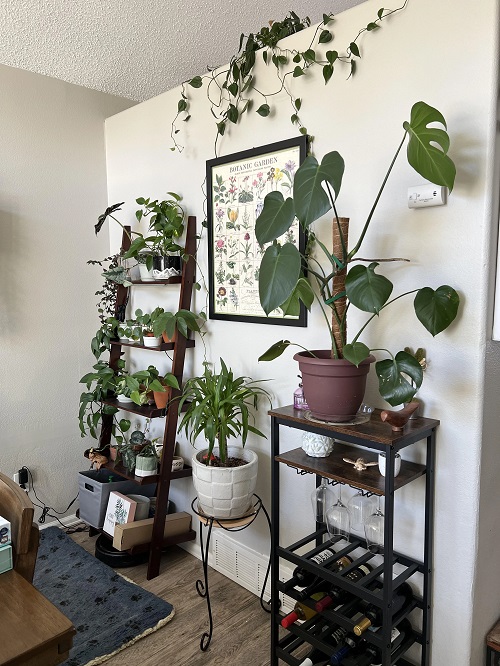 Airflow Around Plants
