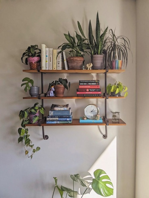 Places in Your Home Where Plants Grow Best